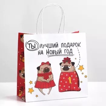 Пакет подарочный
