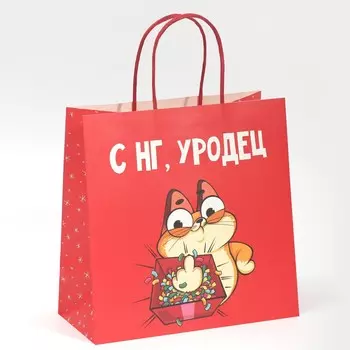 Пакет подарочный
