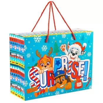 Пакет-коробка