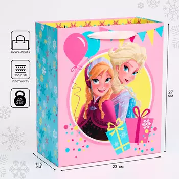 Пакет подарочный, 23х27х11.5 см, упаковка, холодное сердце