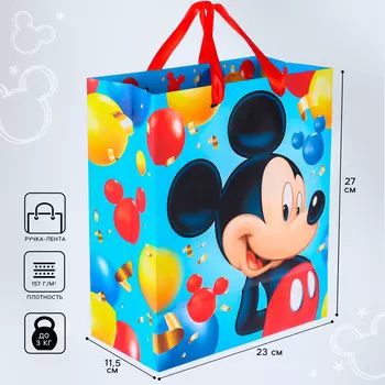 Пакет подарочный, 23х27х11.5 см, упаковка, микки маус