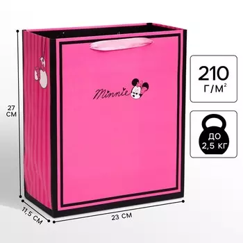 Пакет подарочный, 23х27х11.5 см, упаковка, минни маус