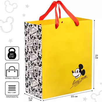 Пакет подарочный, 23х27х11 см, упаковка, микки маус