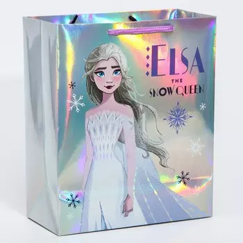 Пакет подарочный, 252110 см, голография, упаковка, холодное сердце