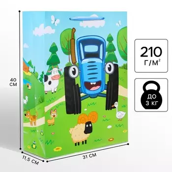 Пакет подарочный