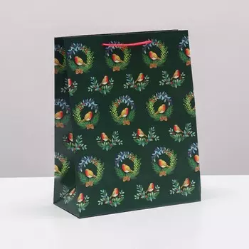 Пакет подарочный новогодний ламинированный