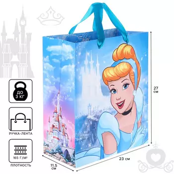 Пакет подарочный