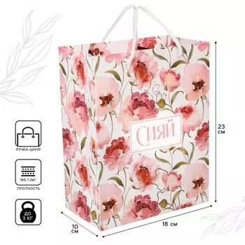 Пакет подарочный