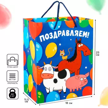 Пакет подарочный