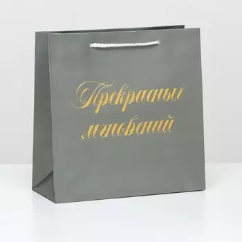 Пакет подарочный