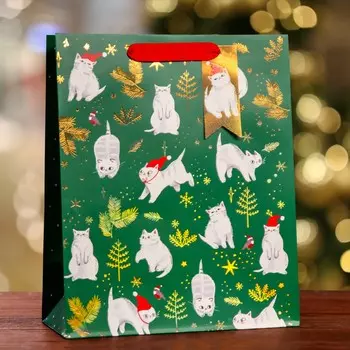 Пакет подарочный новогодний ламинированный
