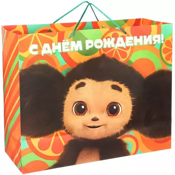 Пакет подарочный