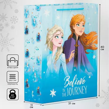 Пакет подарочный, 314011.5 см, упаковка, холодное сердце