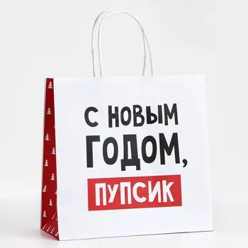 Пакет подарочный новогодний