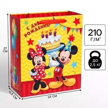 Пакет подарочный