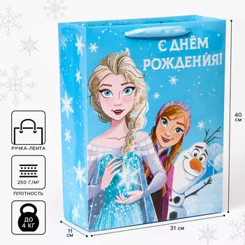 Пакет подарочный