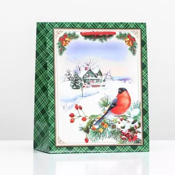 Пакет подарочный новогодний ламинированный