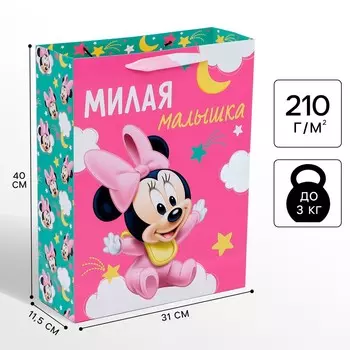 Пакет подарочный