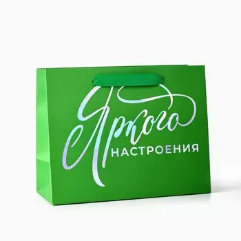 Пакет подарочный