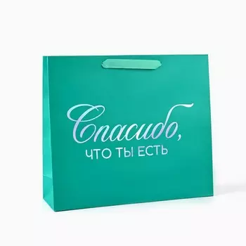 Пакет подарочный