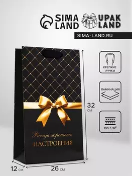 Пакет подарочный
