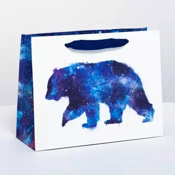 Пакет подарочный горизонтальный