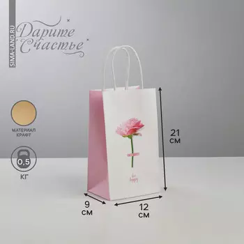 Пакет подарочный крафт, упаковка,