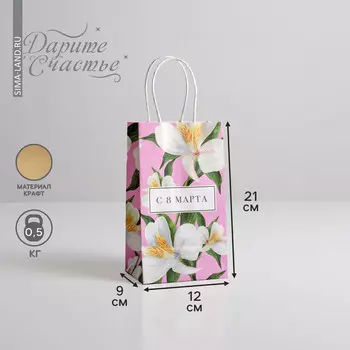 Пакет подарочный крафт, упаковка,