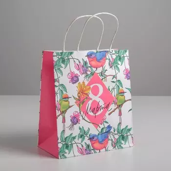 Пакет подарочный крафт, упаковка,