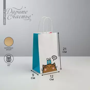 Пакет подарочный крафт, упаковка,