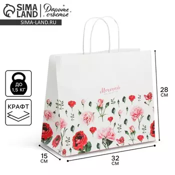 Пакет подарочный крафт, упаковка,