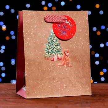 Пакет подарочный крафтовый