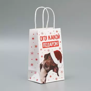 Пакет подарочный крафтовый