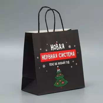 Пакет подарочный новогодний крафтовый