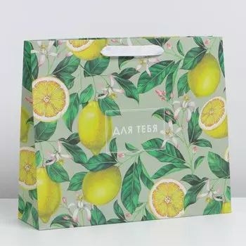 Пакет подарочный крафтовый горизонтальный, упаковка,