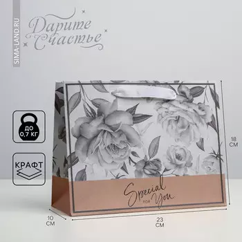 Пакет подарочный крафтовый горизонтальный, упаковка,