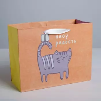 Пакет подарочный крафтовый горизонтальный, упаковка,