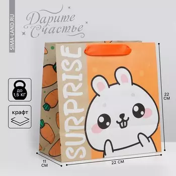 Пакет подарочный крафтовый квадратный, упаковка,