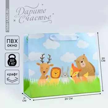 Пакет подарочный крафтовый с пластиковым окном, упаковка,