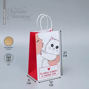 Пакет подарочный крафтовый, упаковка,