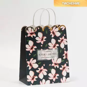 Пакет подарочный крафтовый, упаковка,