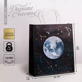 Пакет подарочный крафтовый, упаковка,