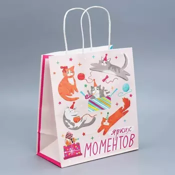 Пакет подарочный крафтовый, упаковка,