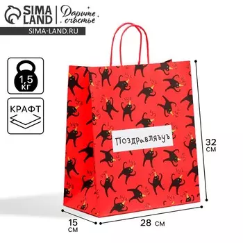Пакет подарочный крафтовый, упаковка,