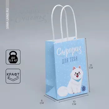 Пакет подарочный крафтовый, упаковка,