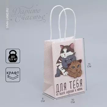 Пакет подарочный крафтовый, упаковка,