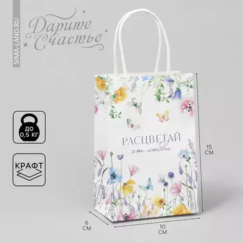 Пакет подарочный крафтовый, упаковка,