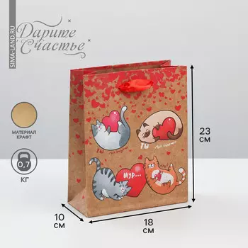 Пакет подарочный крафтовый вертикальный, упаковка,