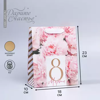 Пакет подарочный крафтовый вертикальный, упаковка,