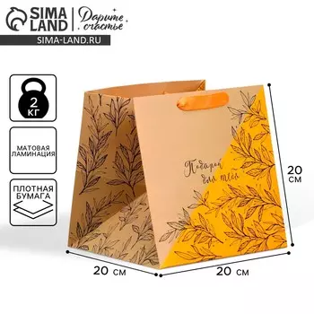 Пакет подарочный квадратный, упаковка, moments, 20 х 20 х 20 см